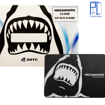  Ổ cứng máy tính SSD SSTC M110 Megamouth 512GB Sata III